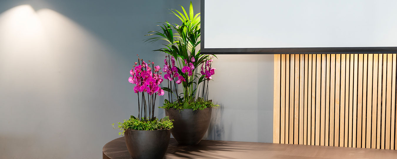 Interiør- og blomsterbilde med klikkbare elementer
